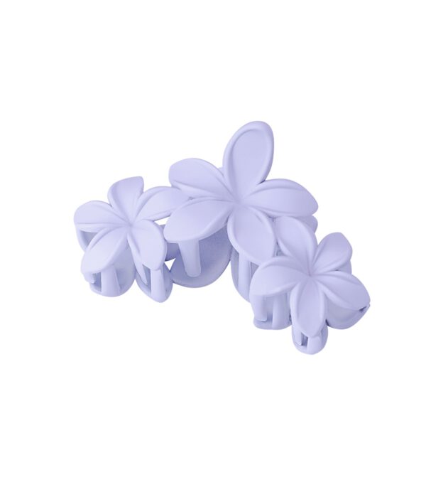 Haarklem bloemen - Afbeelding 3